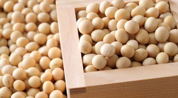 若葉りなヨガ教室