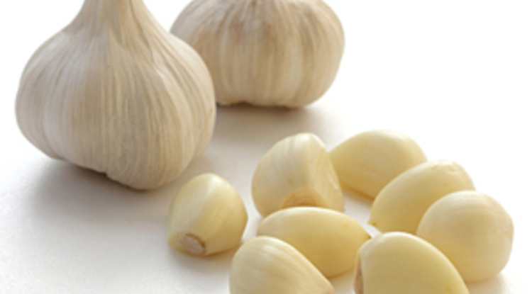 若葉りなヨガ教室