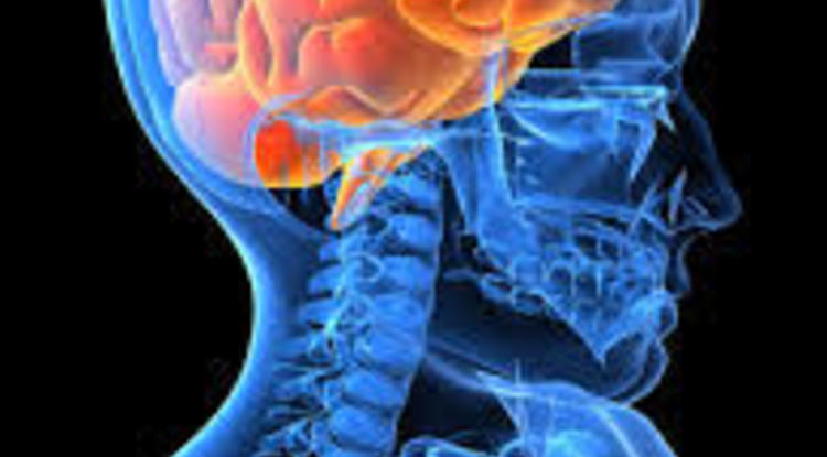 若葉りなヨガ教室