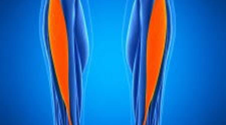 若葉りなヨガ教室