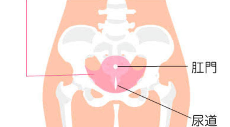 若葉りなヨガ教室