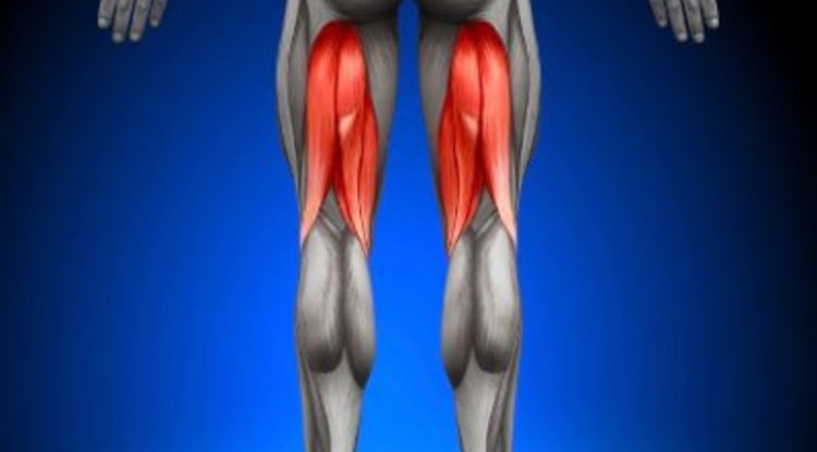 若葉りなヨガ教室