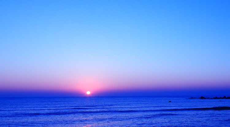 若葉りなヨガ教室