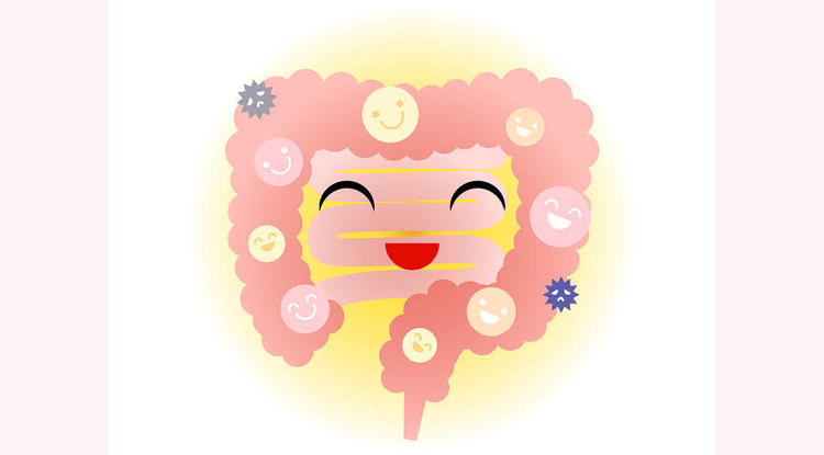 若葉りなヨガ教室